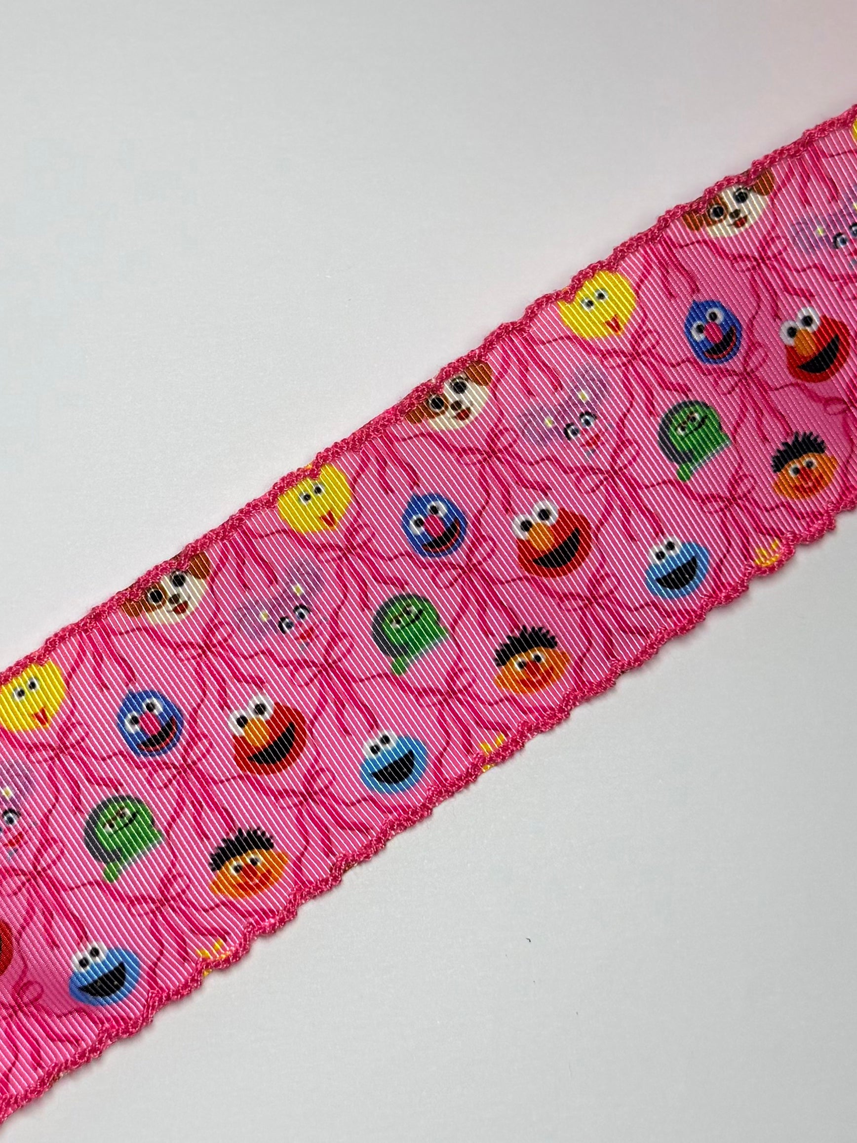 Pink Street Friends Print w/ Hot Pink Moonstitch